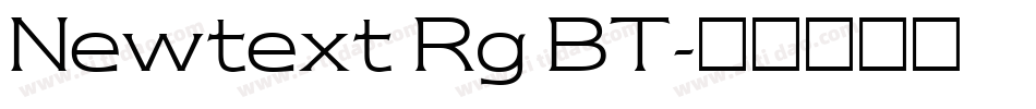 Newtext Rg BT字体转换